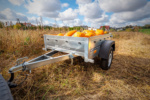 Remorque porte-voitures 150x106 UNITRAILER GARDEN 150 KIPP – Image 5